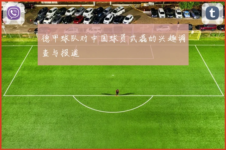 德甲球队对中国球员武磊的兴趣调查与报道