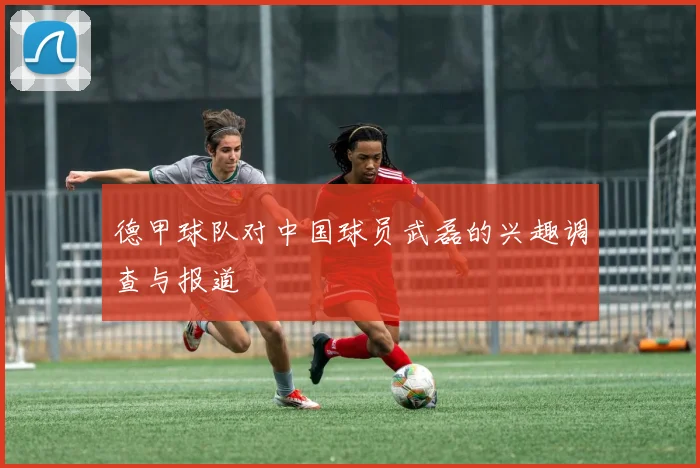 德甲球队对中国球员武磊的兴趣调查与报道