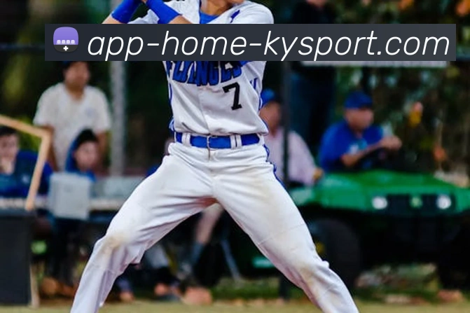 开云app服务体系