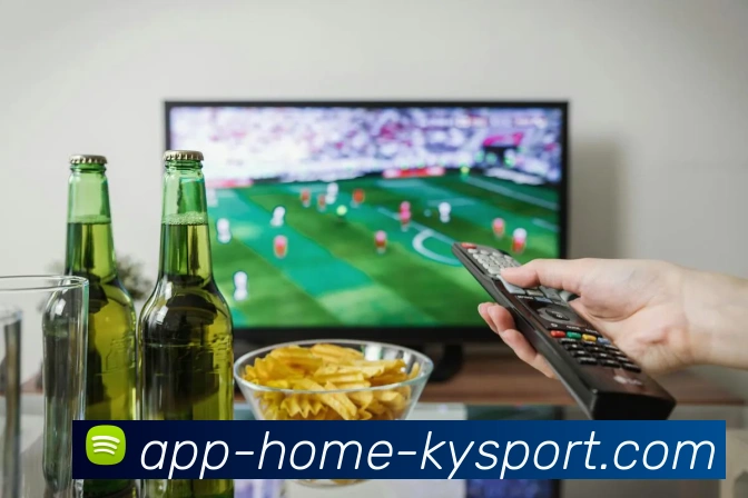 开云appAPP 封面图